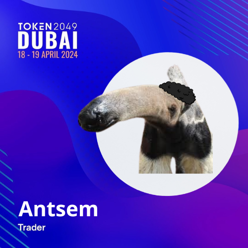 Antsem at Token2049 Dubai
